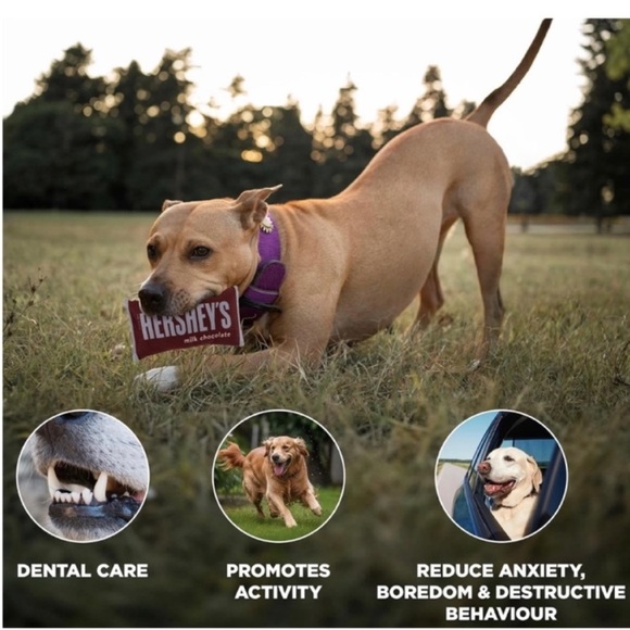 HERSHEY’S DOG TOYS THE ONLY CHOCOLATE THAT YOUR DOG CAN HAVE 😍 - Picture 2 of 8